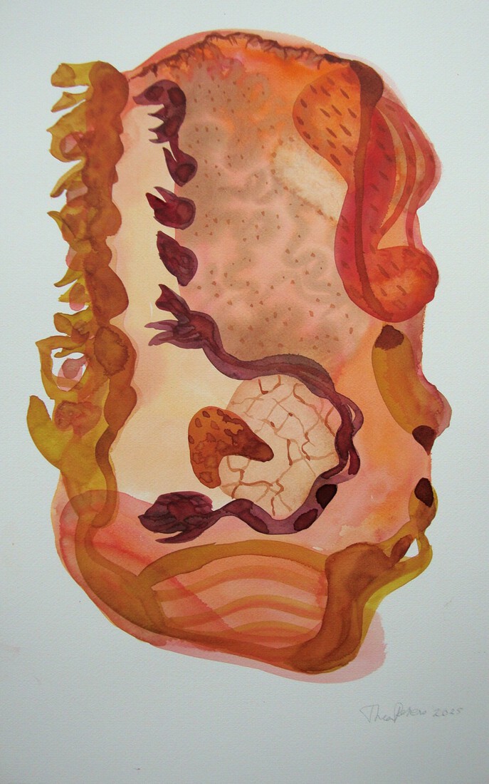 25-aq 2