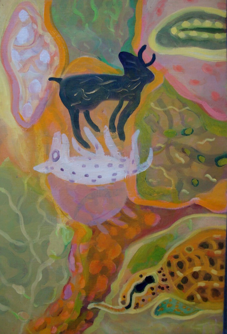 Zwart en wit diertje en schildpad