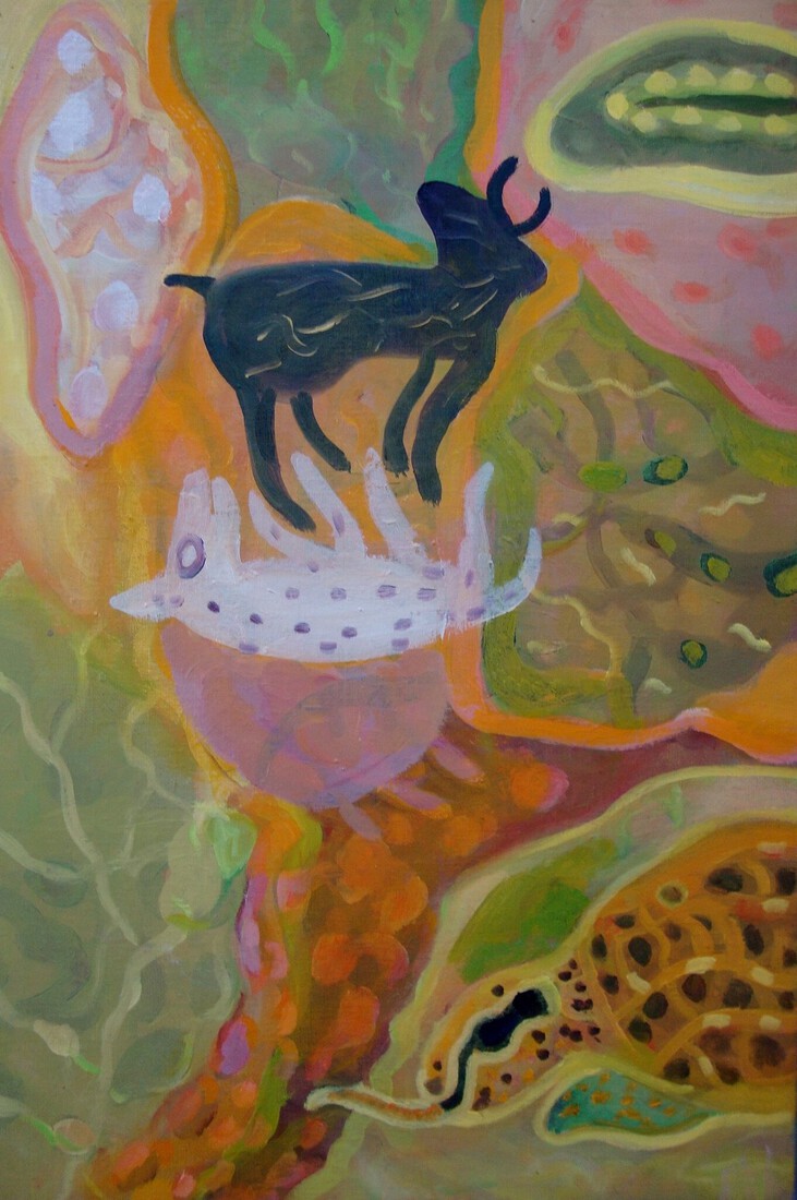 Zwart en wit diertje en schildpad