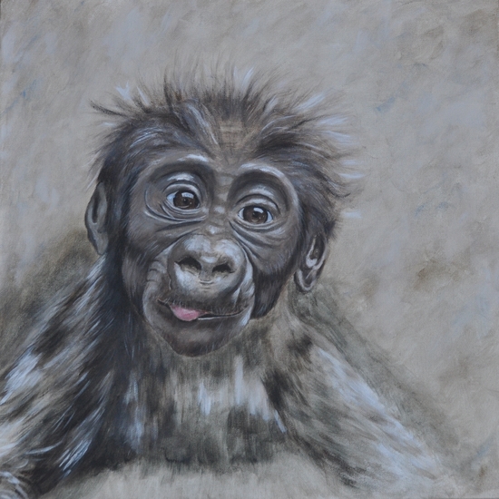Gorilla baby