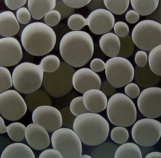 zonder titel (2005-olie2)