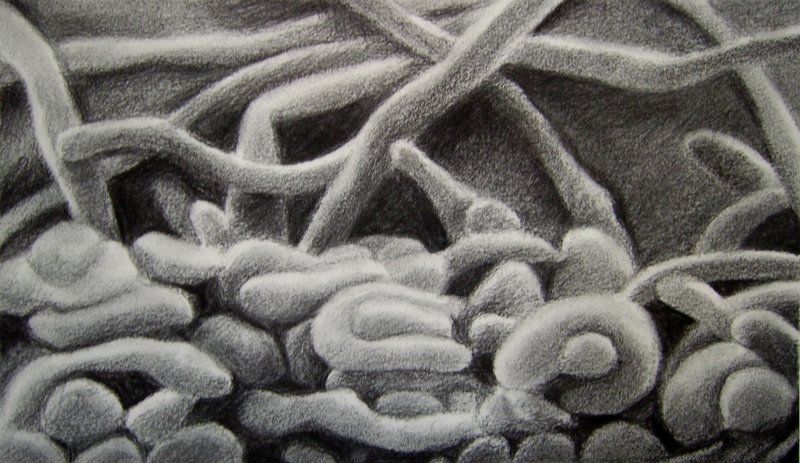 zonder titel (2009-tek.1)