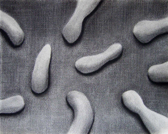 zonder titel (2006-tek.2)