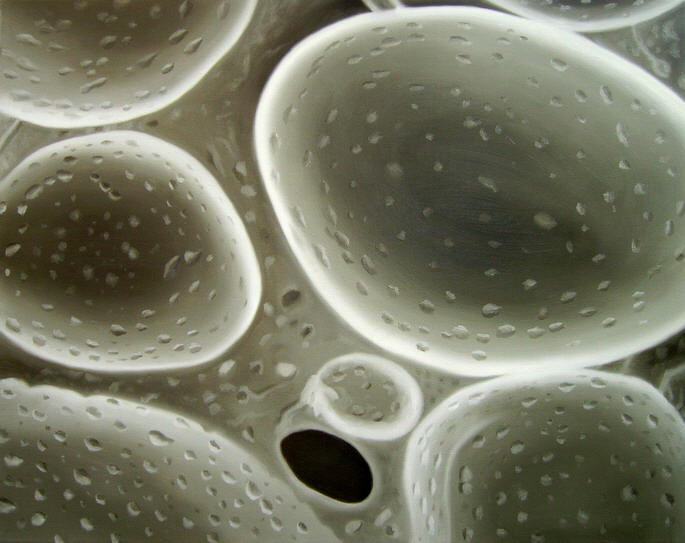 zonder titel (2007-olie4)