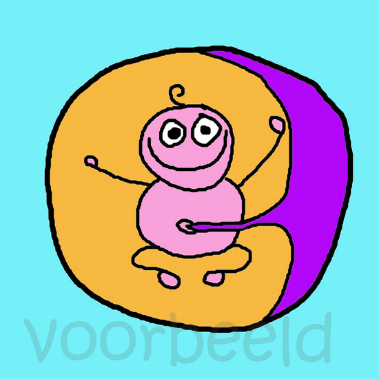 Baby in buik