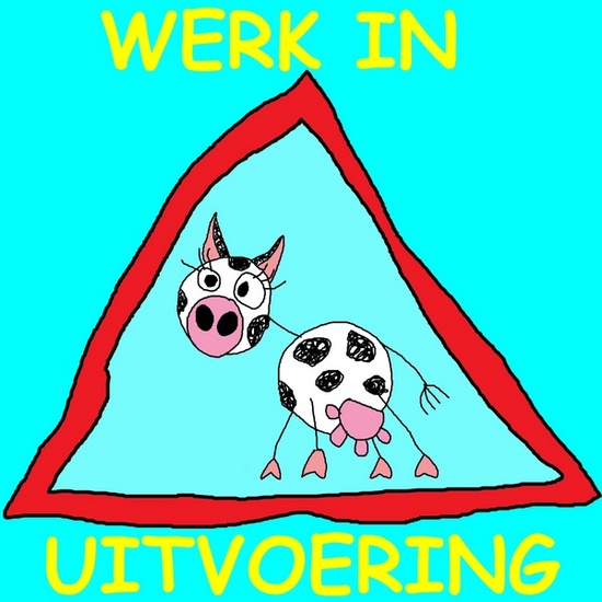 Werk in uitvoering