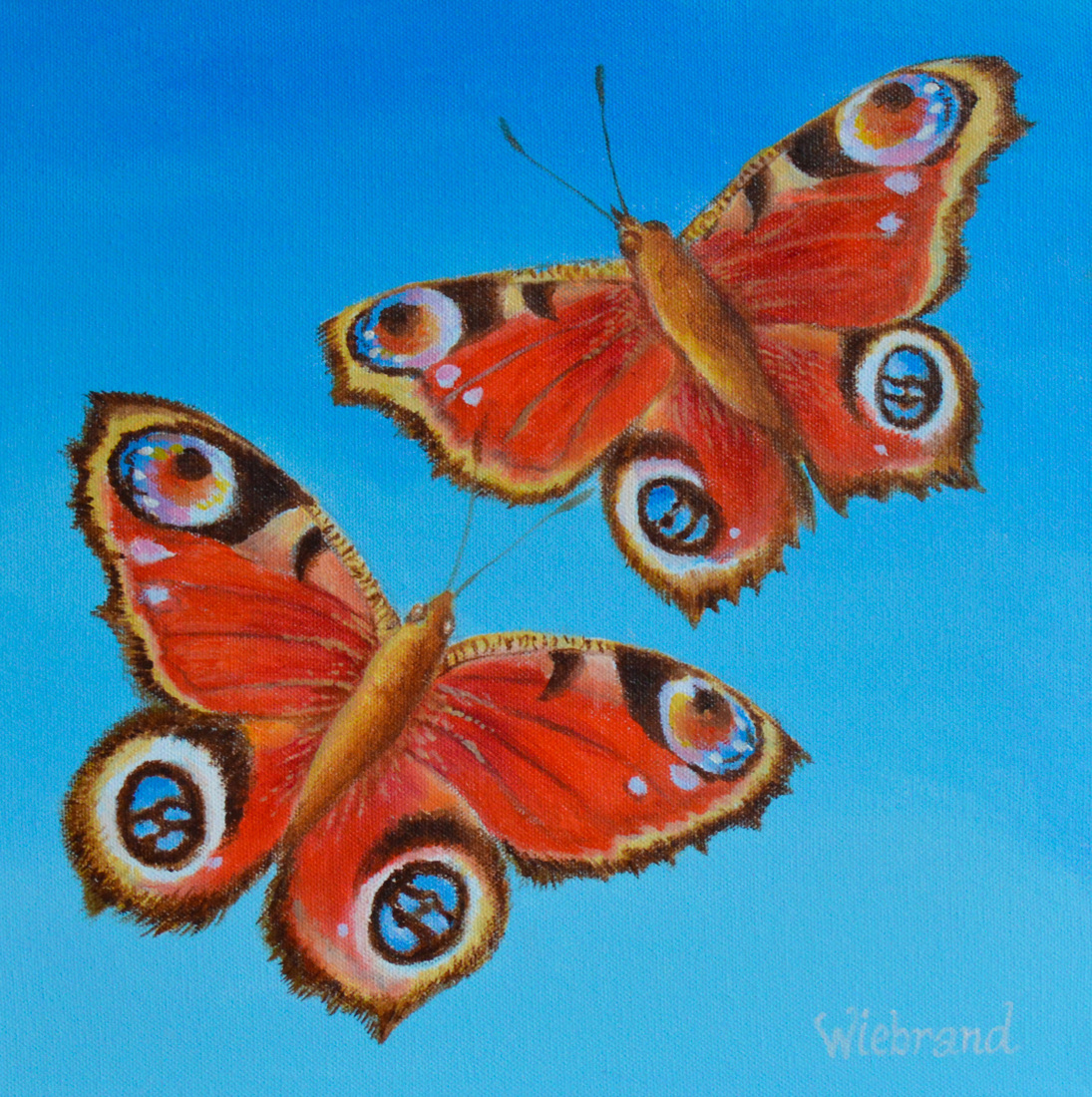 Leer vlinders schilderen