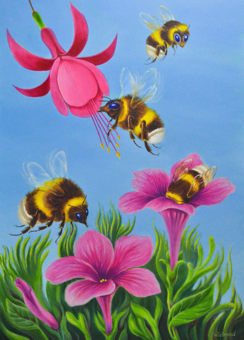 Ballerina Bumblebees