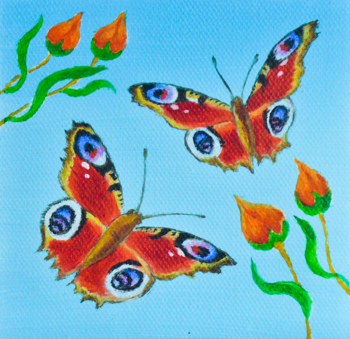 Twee vlinders en bloemen in knop