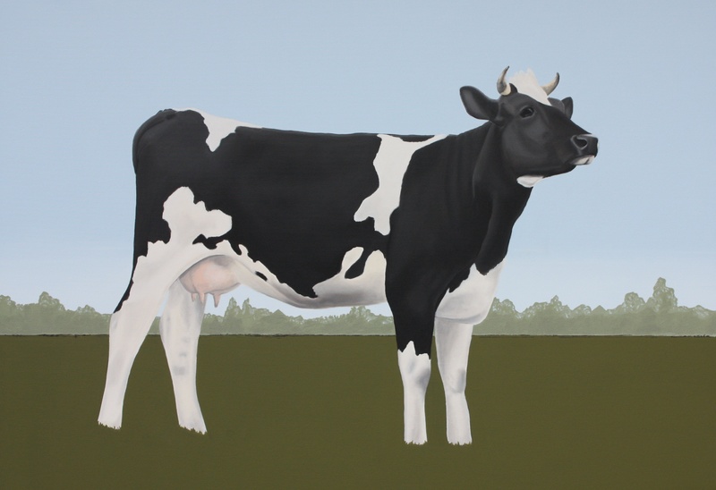 Koe in een landschap