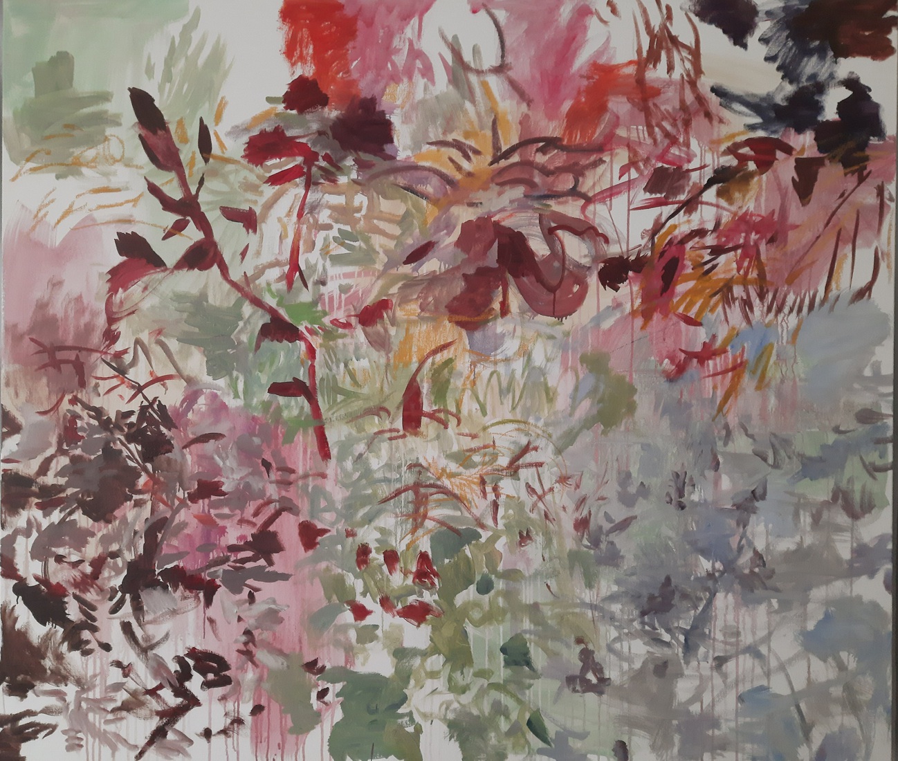 A Walk in the Garden