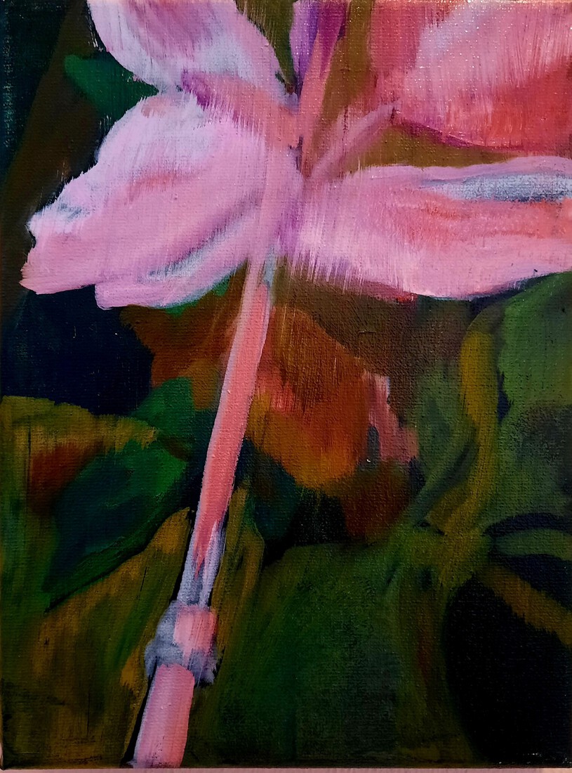 Plants / 2