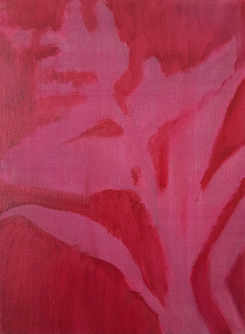 Plants / 3