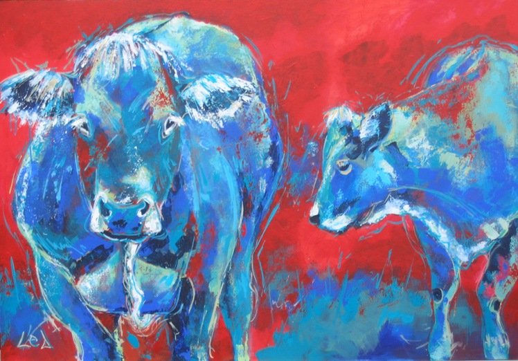 blauwe koeien in rood