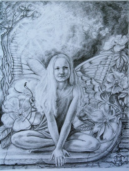 Butterfly on a stone wall