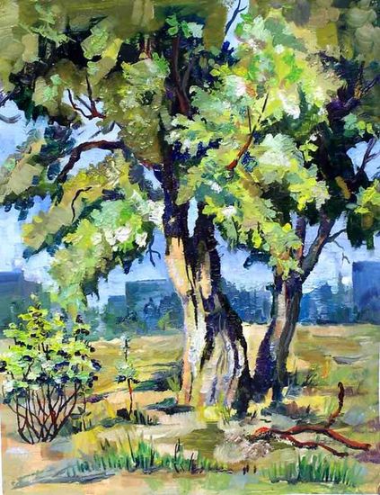 Old tree.