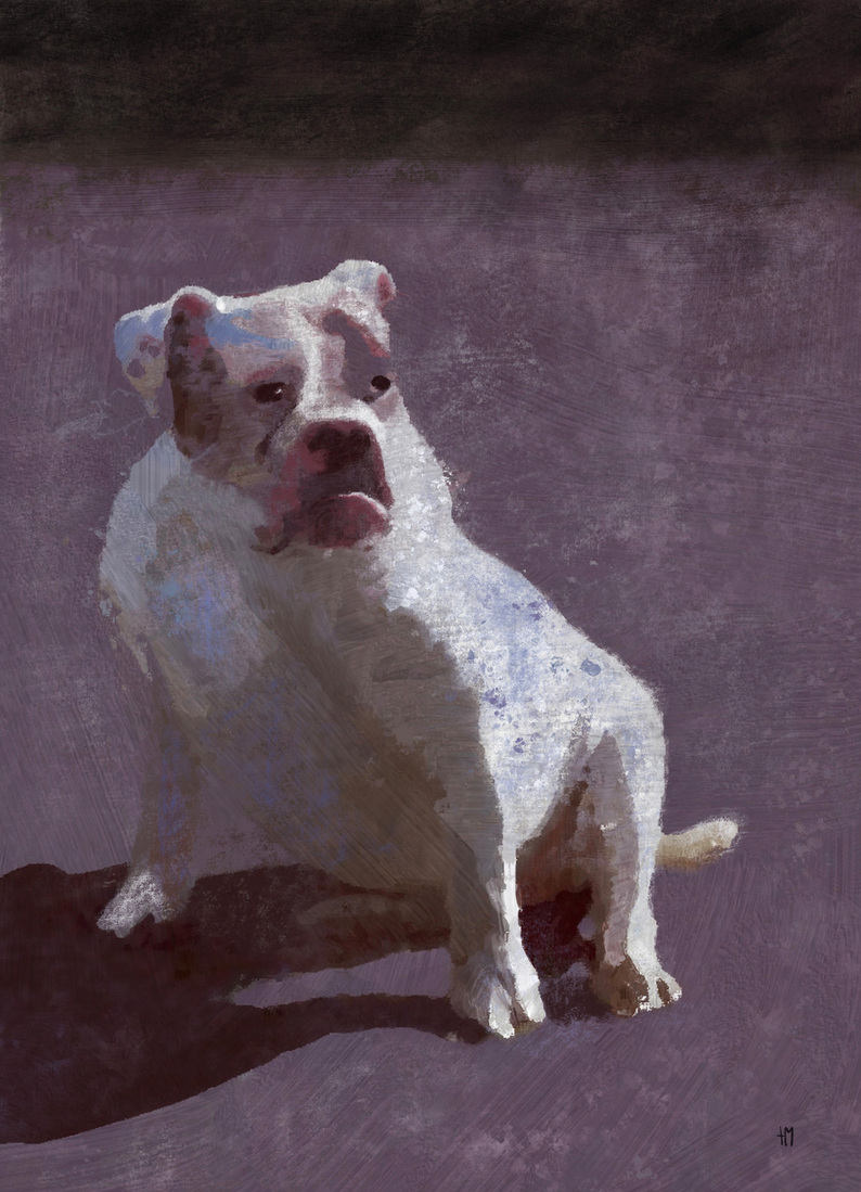 Schilderij van een hond, bulldog schilderij