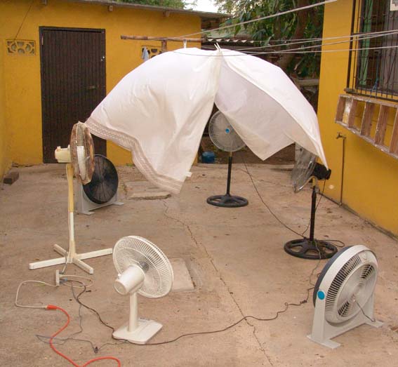 The Caribbean Breeze