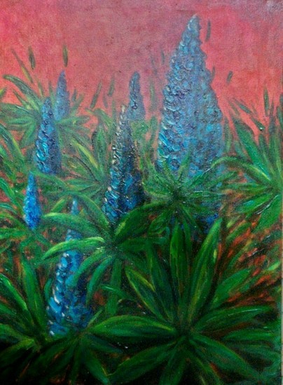 Lupine