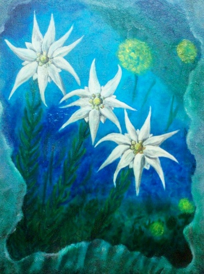 Edelweiss