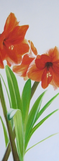 Olieverf schilderij op katoen Amarillis
