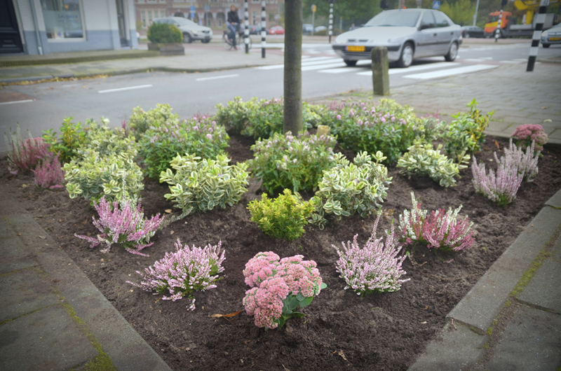 GUERILLA GARDENING - Hoe doe je dat?