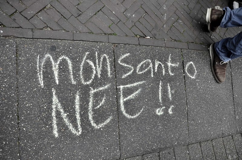Tegen Monsanto (3)