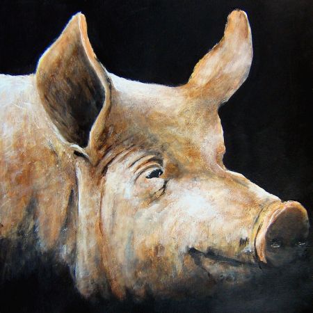 Woningbouwvereniging