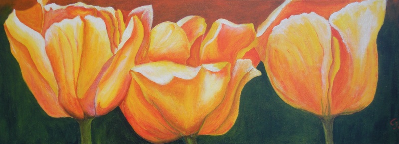 Oranje Tulpen