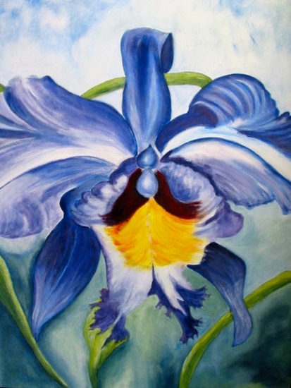 Iris