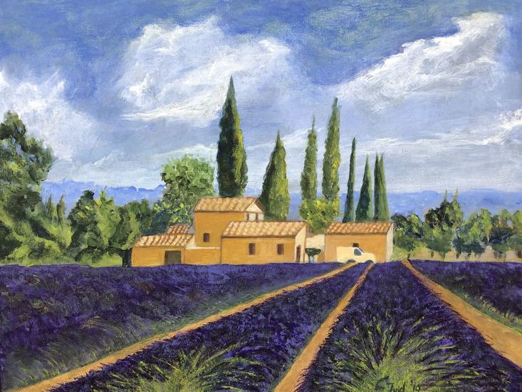 Landschap met lavendel