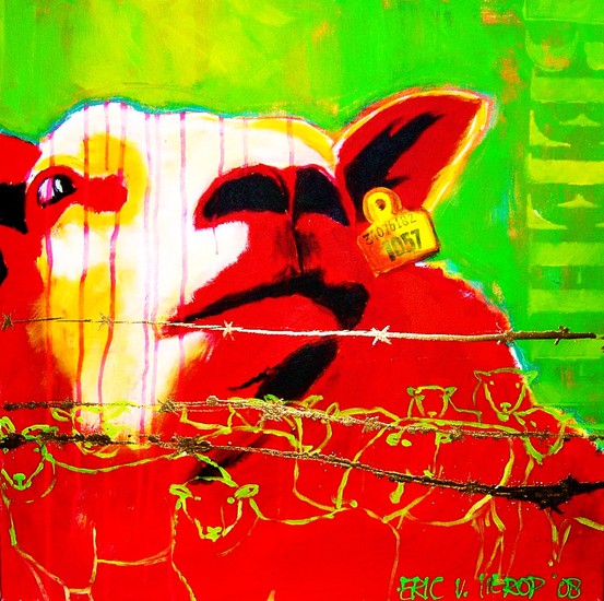 SCHAAP