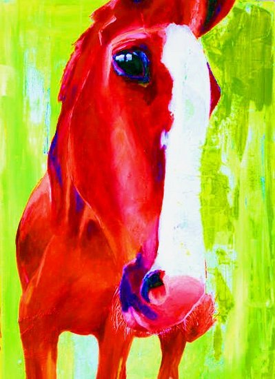 PAARD