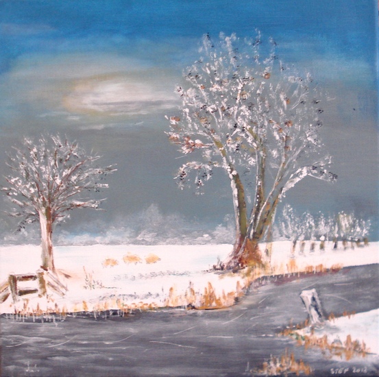 Mooie winterdag
