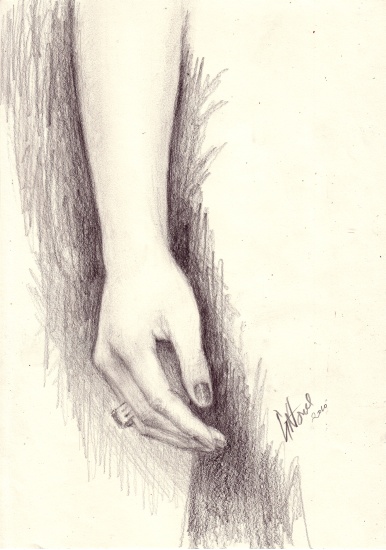 studie hand Máxima