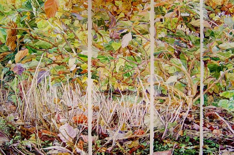 Ars Longa Vita Brevis