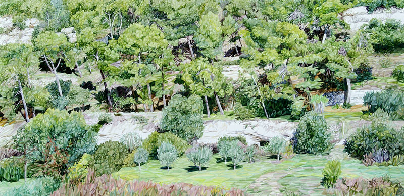 On the Hill of Cucuron