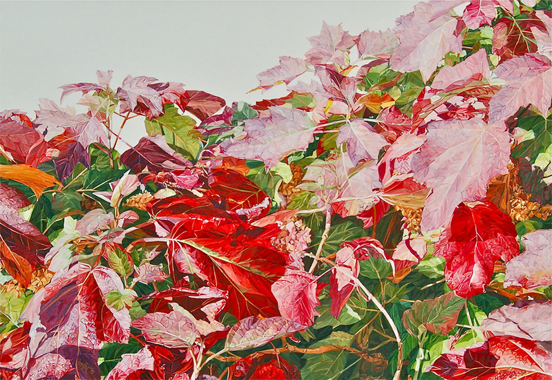 The Coat of Hortense