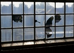 Foto's van gebroken glas, ruiten, etc.