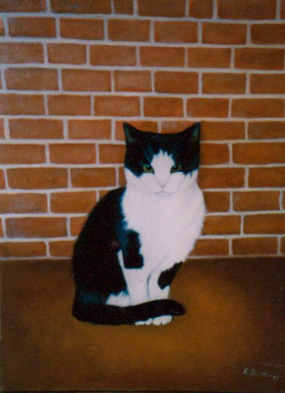 zwart/witte kat