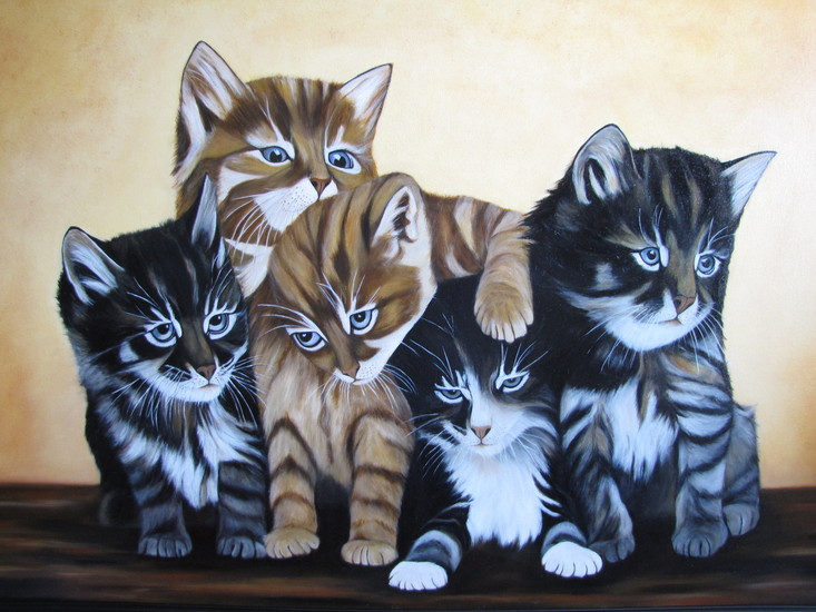 the Cats