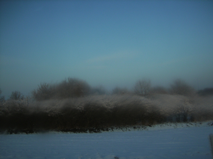 Blauwe koude in nevelen gehuld