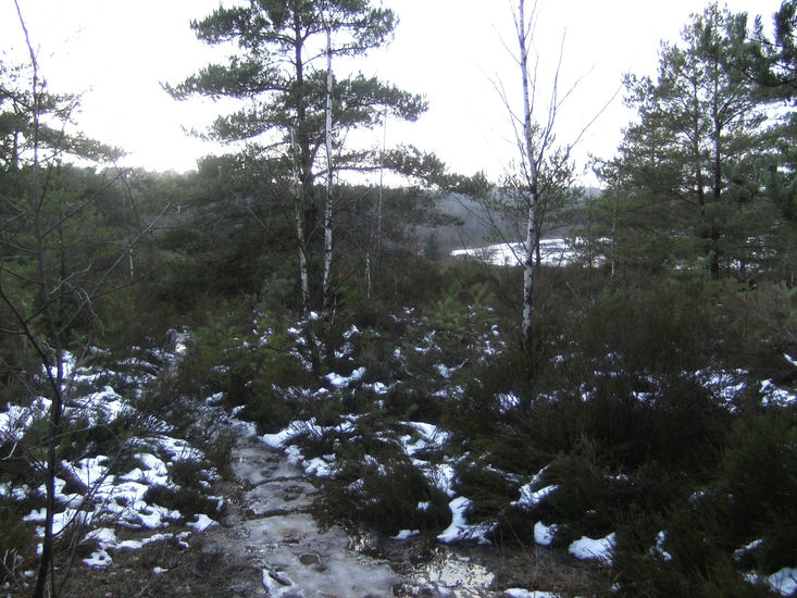 Nationaal Park Hoge Kempen