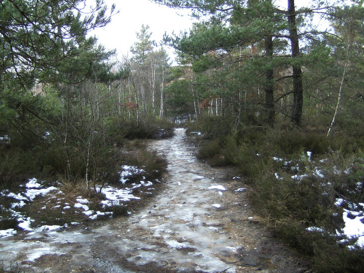 Nationaal Park Hoge Kempen Belgie
