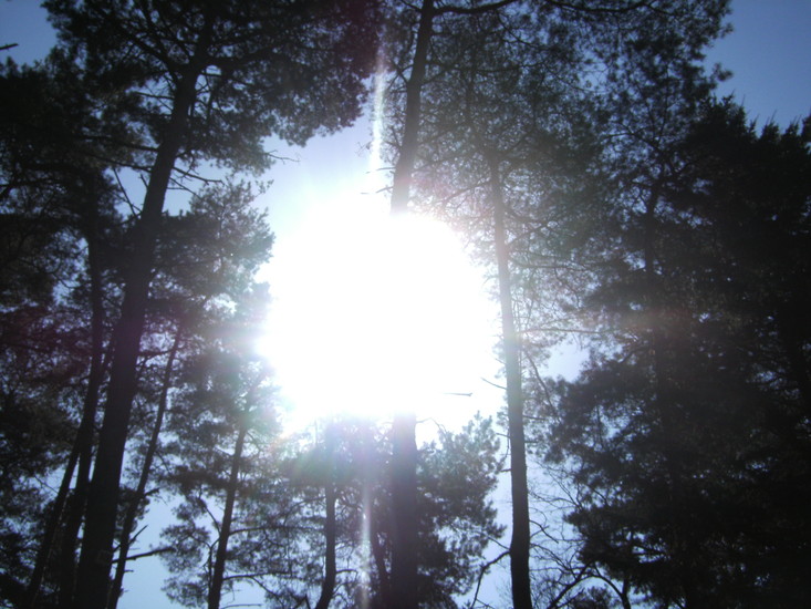 gaat er van de natuur een bepaalde spiritualiteit uit?