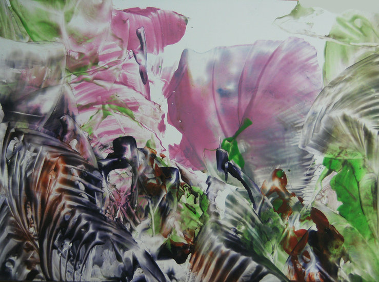 Pink lady flower of stillness