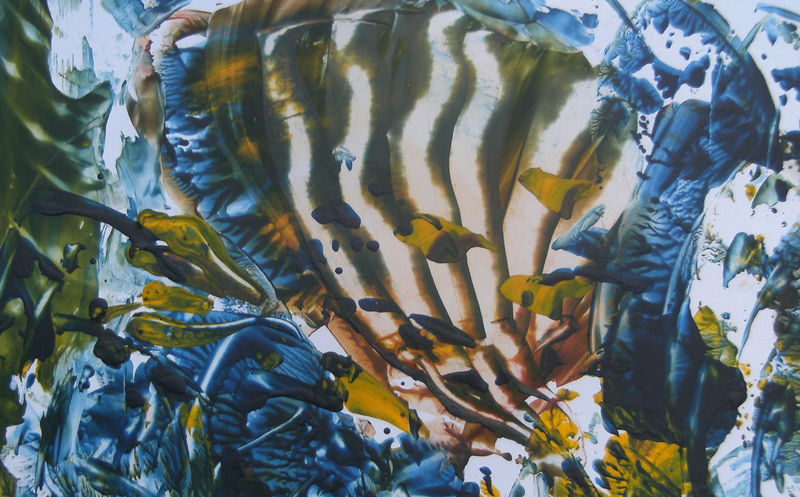 De zee, bron van alle leven