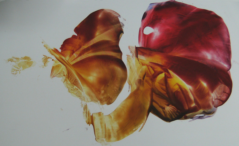 Goddelijke bevruchting