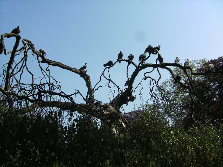 b) Love is in the air