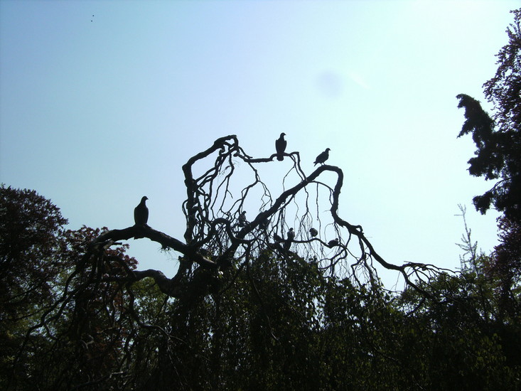 b) Love is in the air